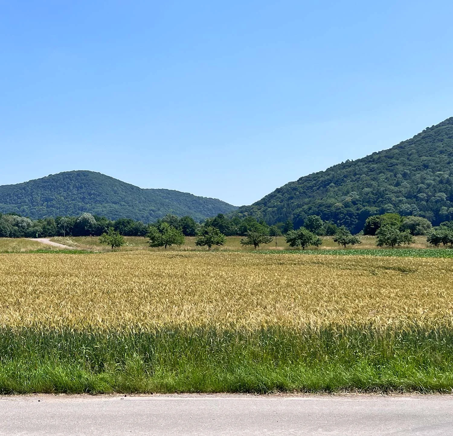 Landschaft